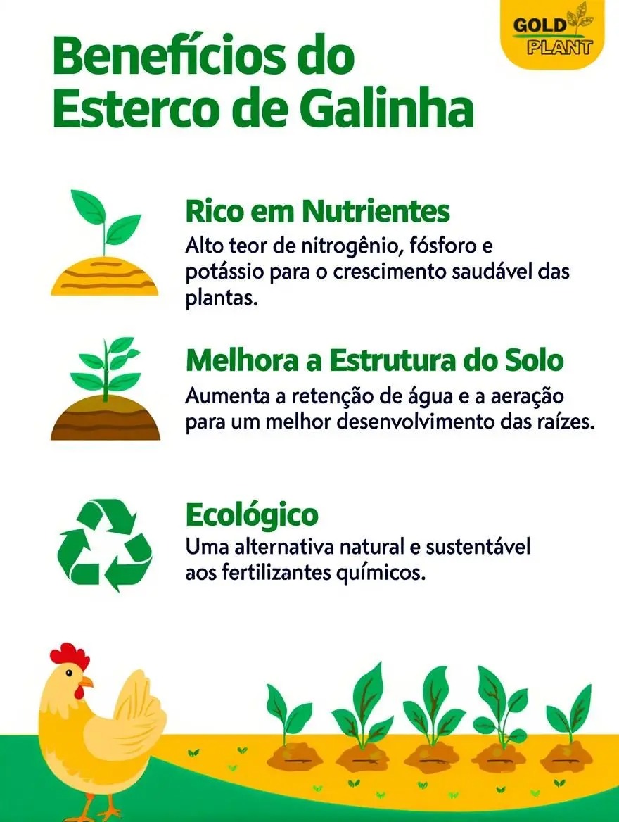 Esterco de galinha substrato adubo orgânico 5 KG Mogifertil - Imagem 3