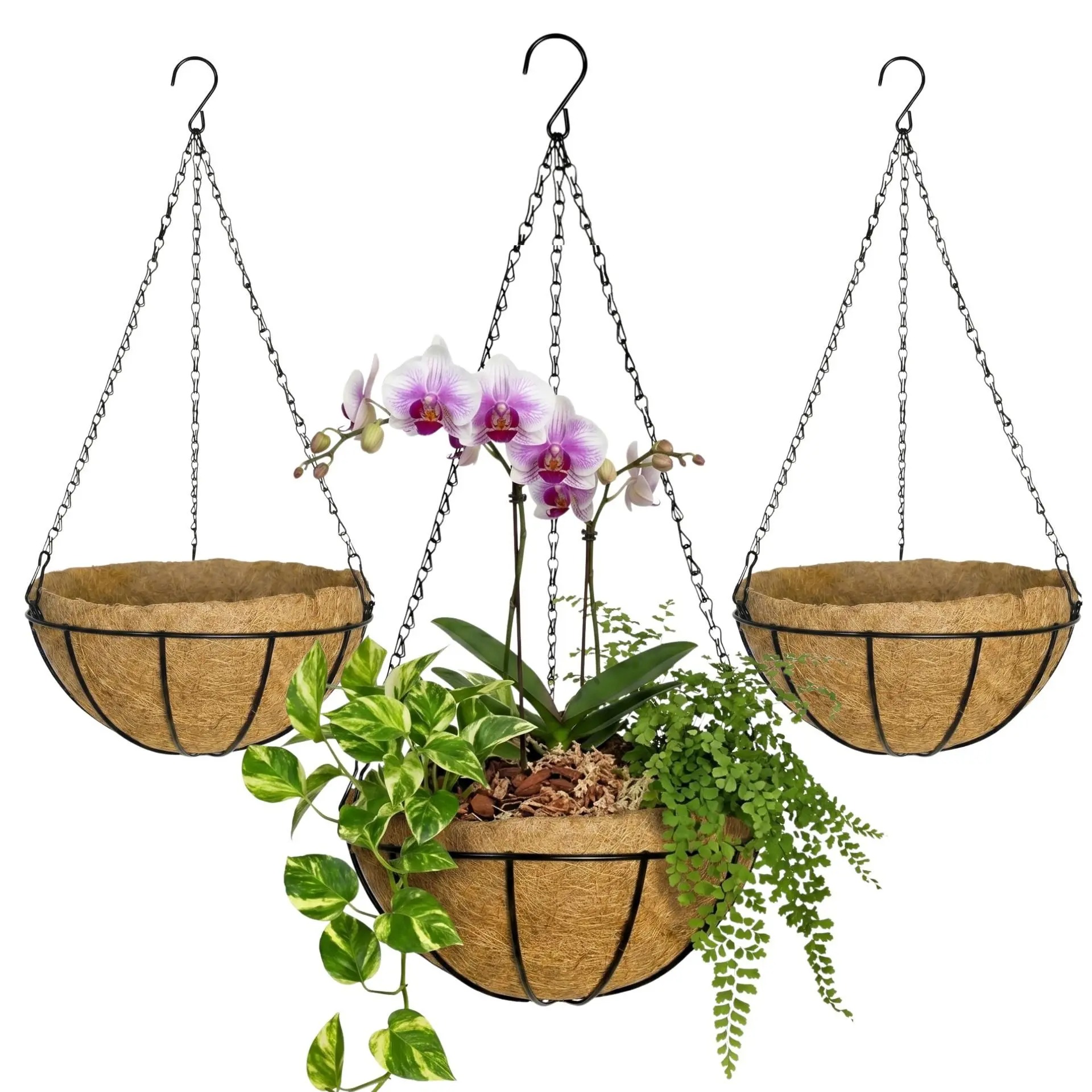 Kit 3 Vasos de Fibra de Coco 25cm Suspenso com Corrente Para Plantas E Flores - Verde Garden